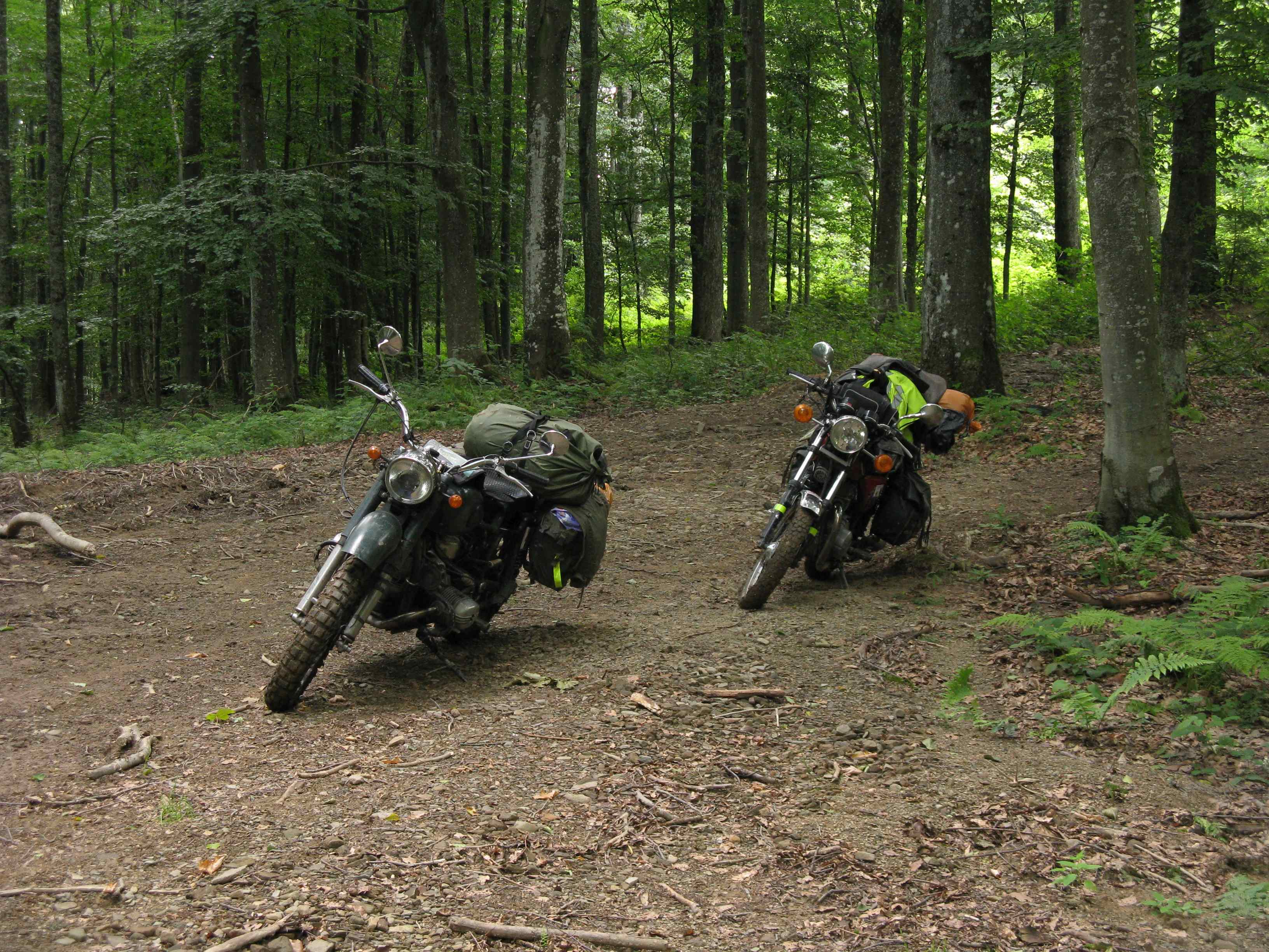 karpaty